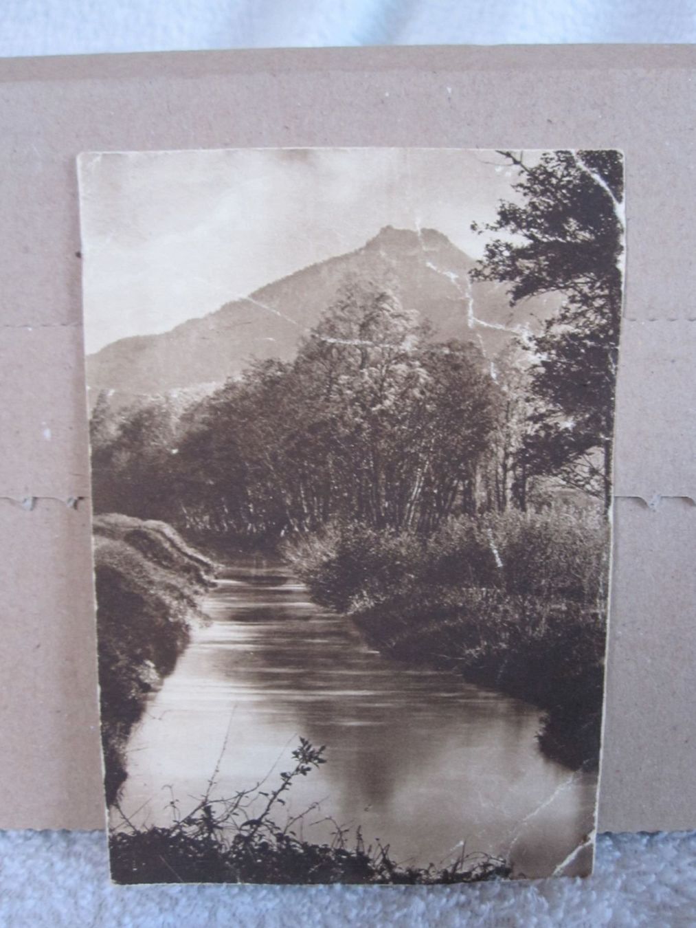Cartoline postali: alte Schweizer Postkarte – Usato da Bärau venduto da perosch65