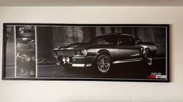 Mustang GT 500 Shelby Elenor Bild