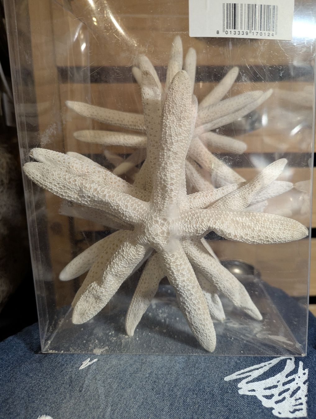 Alle Dekorationen: Seesterne naturweiss basteln – Neu und originalverpackt aus Bettlach von Costmiri