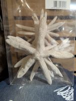Seesterne naturweiss basteln