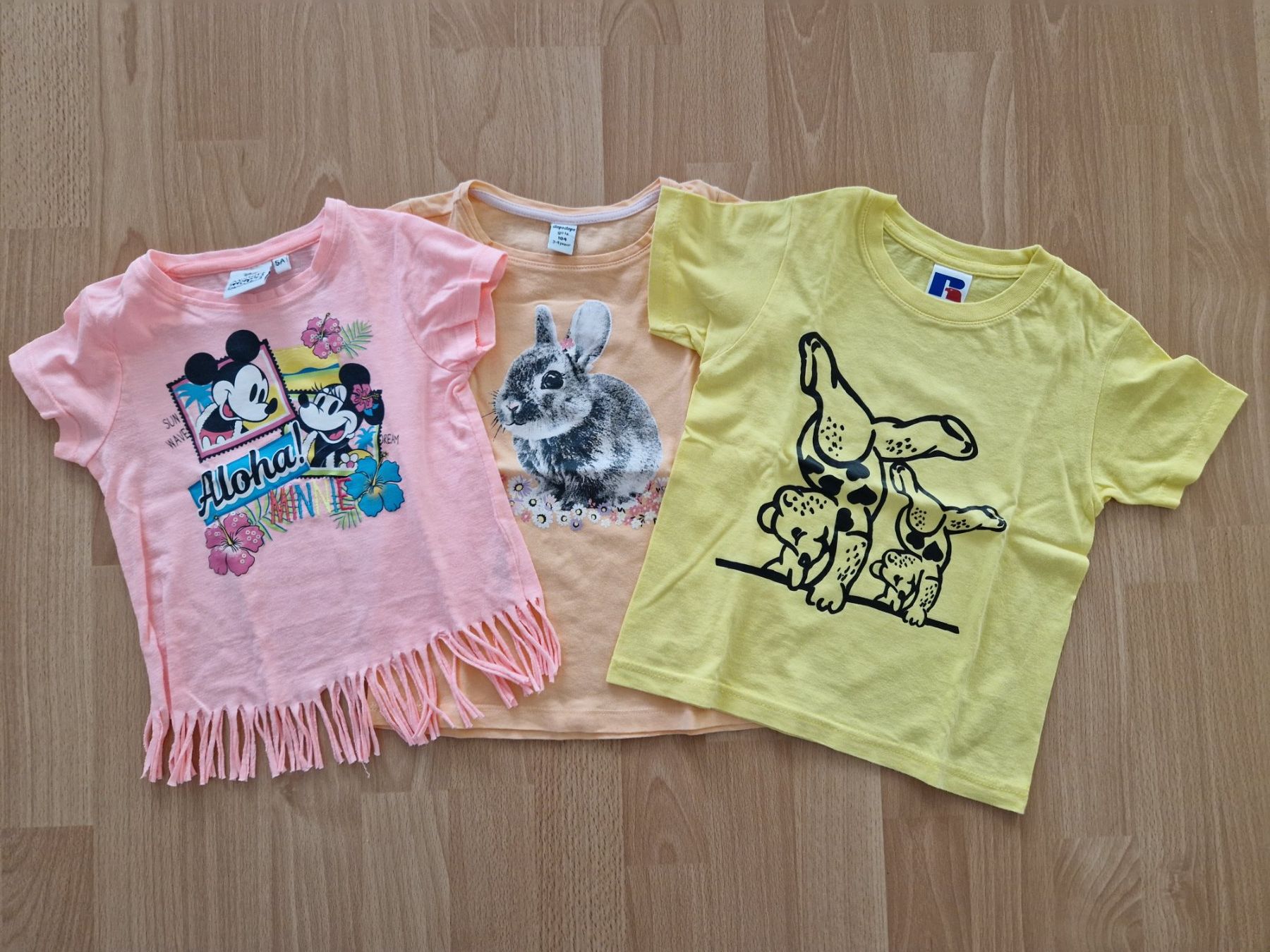 Camicette, T-shirt & Top: T'Shirt – Usato da Wetzikon ZH venduto da Koalawomb08