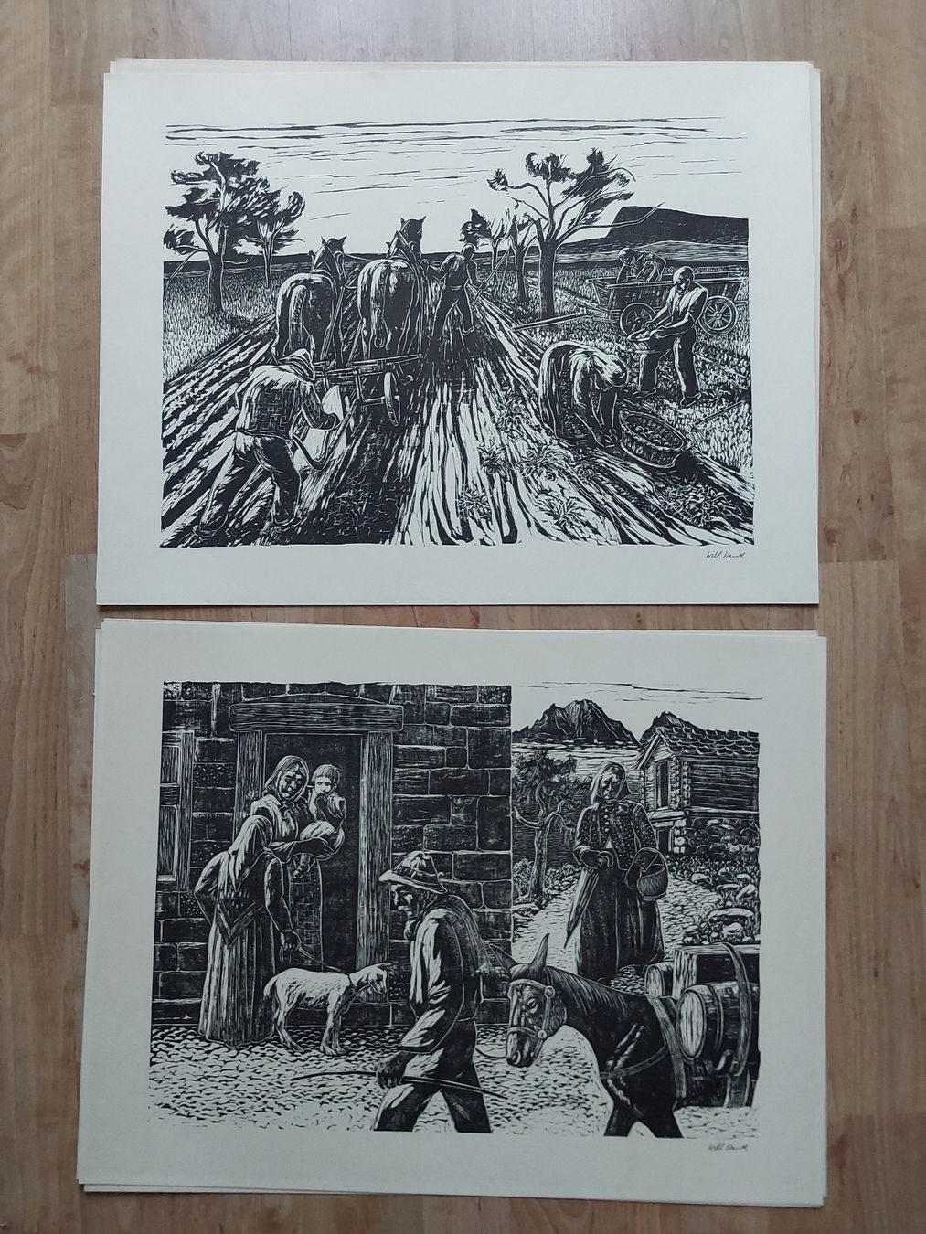 Posters & Illustrations: Willi Wenk. vollständig Mappe.Bilder 44x57cm. – D'occasion à Steinach par Chilli1957 7