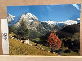 AK von Stiegelschwad Adelboden
