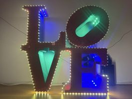 LEGO LOVE 31214 NUOVO MONTATO CON KIT LUCI LED