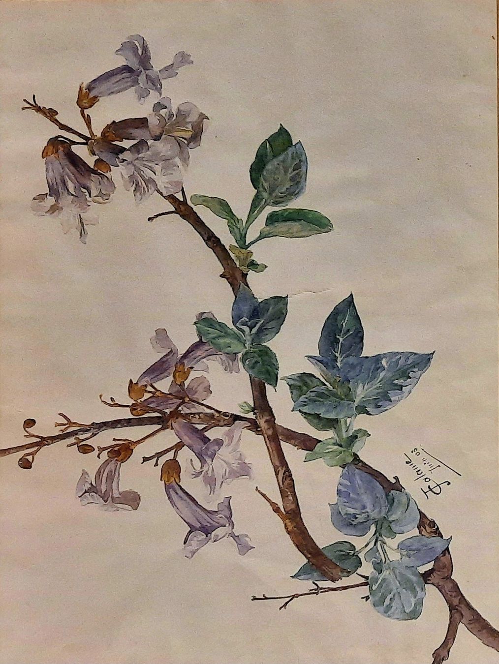 Dipinti: JULIETTE CALAME  1864 1933 – Usato da Genève venduto da Enigme8