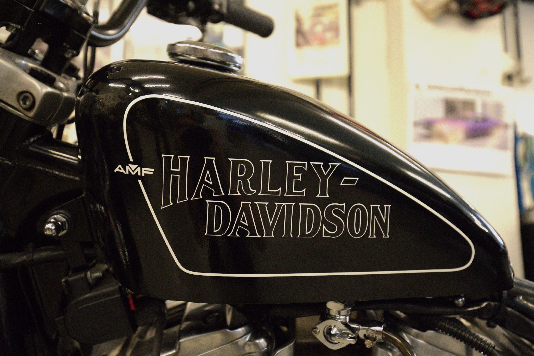 Chopper: Einmalige Harley Davidson Sportster 883 Evo – Usato da Zürich venduto da LucasOuteda 9