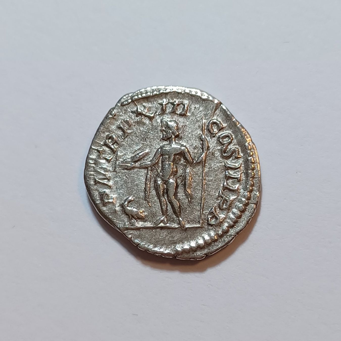 Tutti le monete: Denarius Septimius Severus 193-211 Römisches Reich – Usato da Pfäffikon ZH venduto da Antike_Muenzen 1