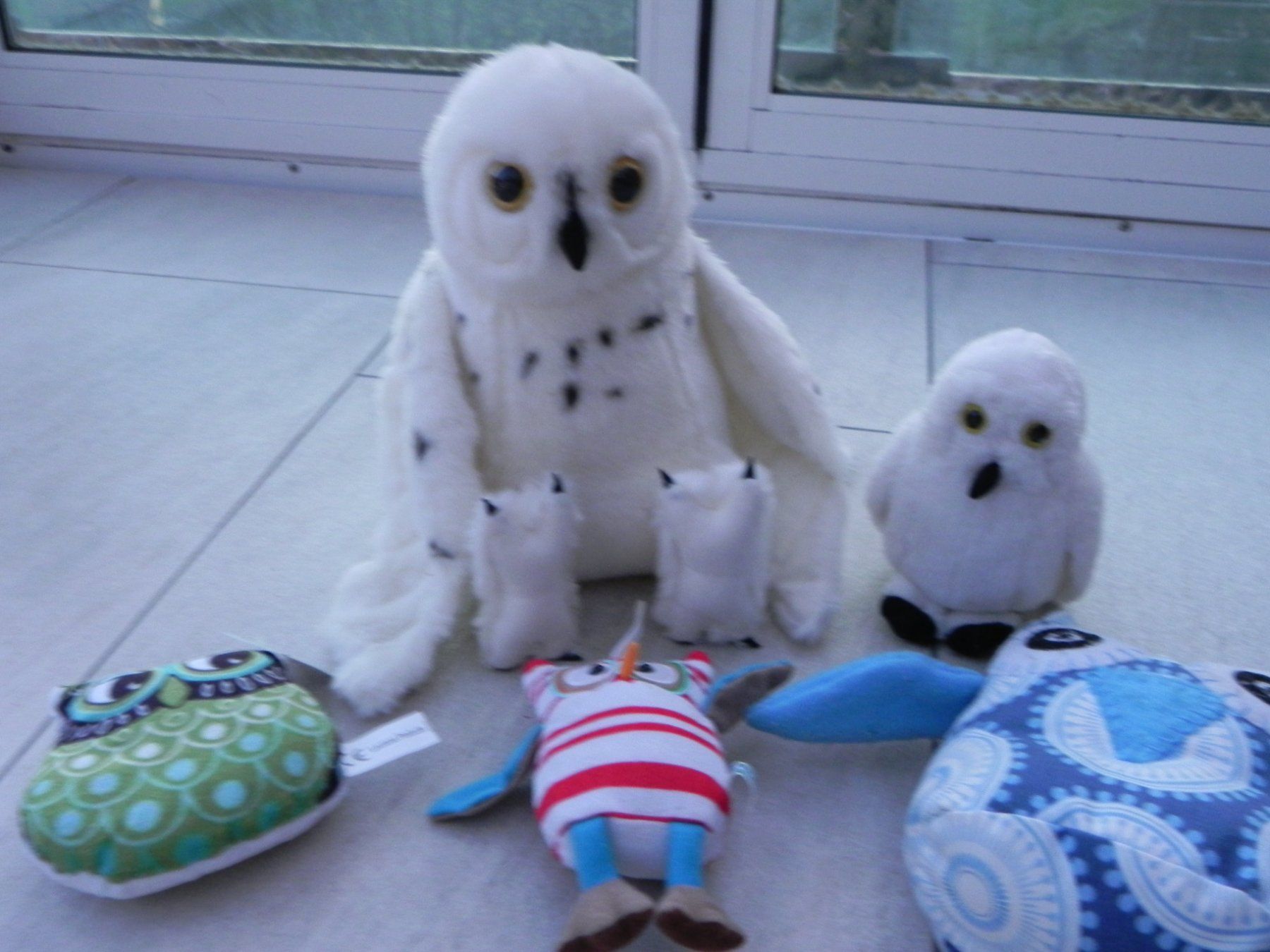 Spielzeuge: Eulen Set Stofftiere Kuscheltiere 5 Stk – Gebraucht aus Stallikon von pcerny16 8