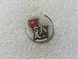 Ansteckpin 107: