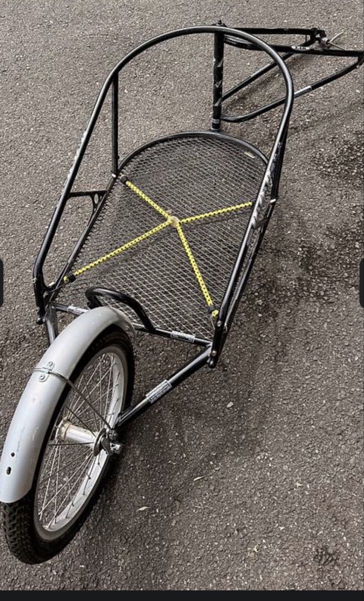Anhänger: Veloanhänger B.O.B. Yak – Gebraucht aus Thun von sabineforster 1