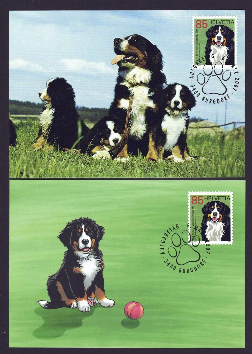 Alle Briefmarken: 4 MK Berner Sennenhund von 2007 – Gebraucht aus Basel von Pfefferschootte 1
