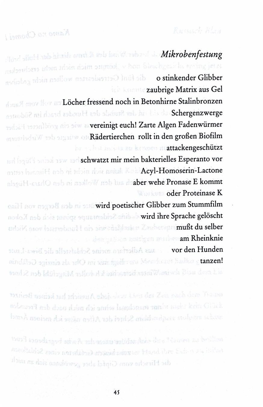 Libri: Ralph Dutli, Notizbuch der Grabsprüche – Nuovo (secondo la descrizione) da Sarnen venduto da Livres 4