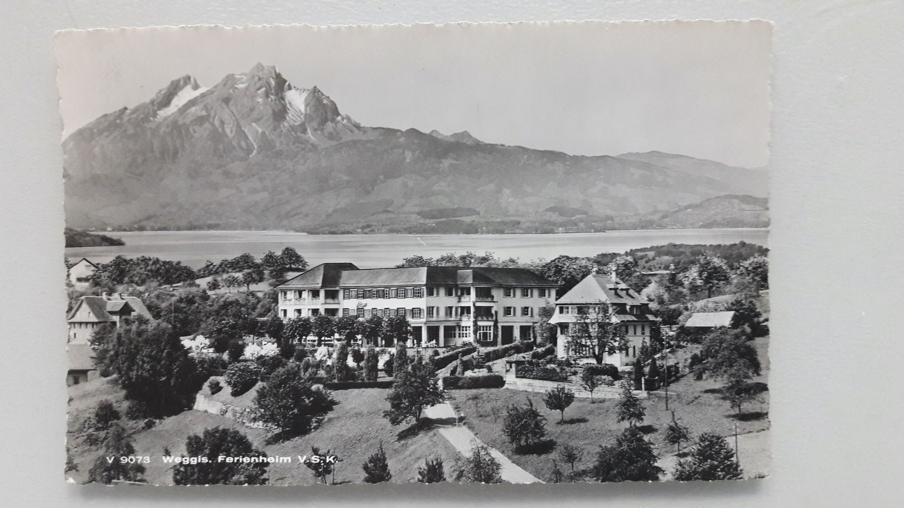 Cartoline postali: Weggis Ferienheim – Usato da Sargans venduto da nicsam1815