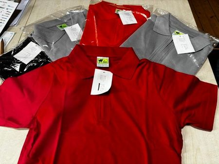 Kleiderpaket 5 x T-Shirts NP CHF 195.00