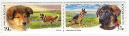Briefmarken "Deutsche Schäferhund, Langhaarcollie". Russland