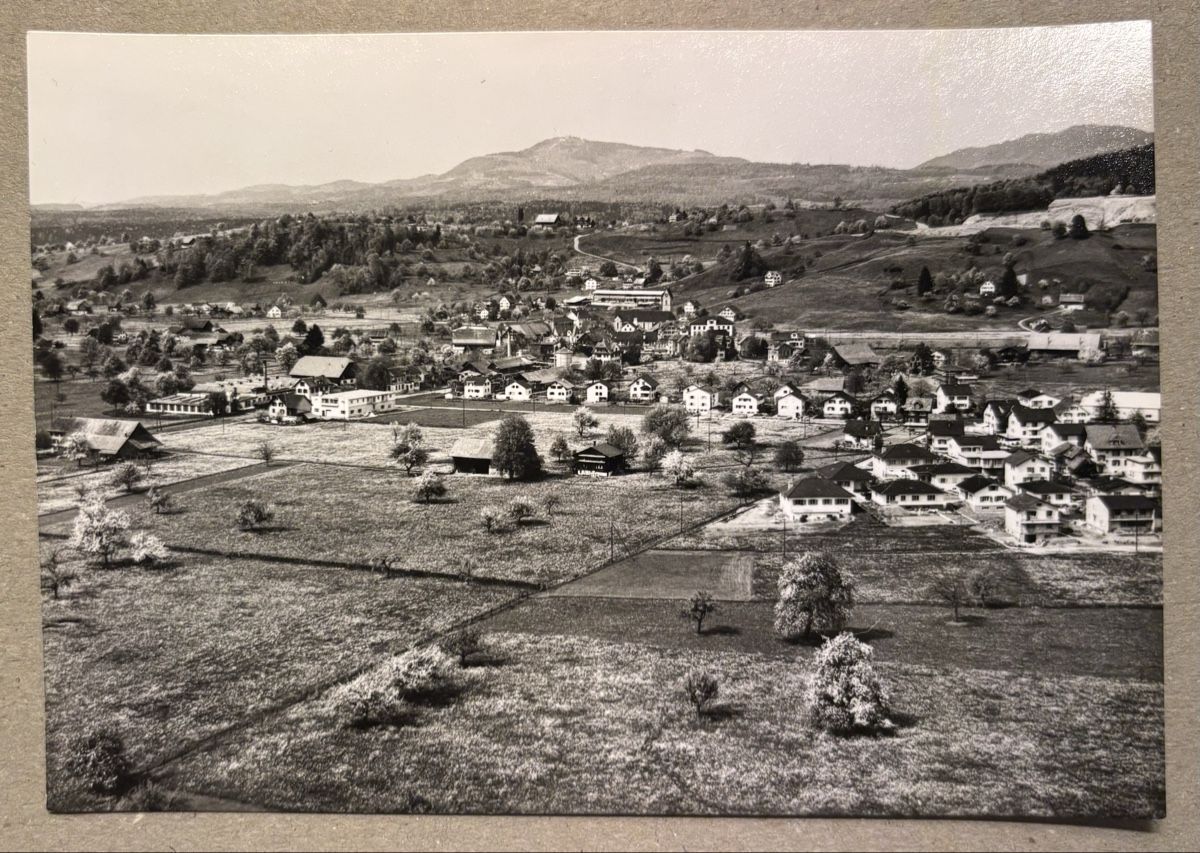 Cartoline postali: Flugaufnahme Wangen SZ – Usato da Luzern venduto da Balbel