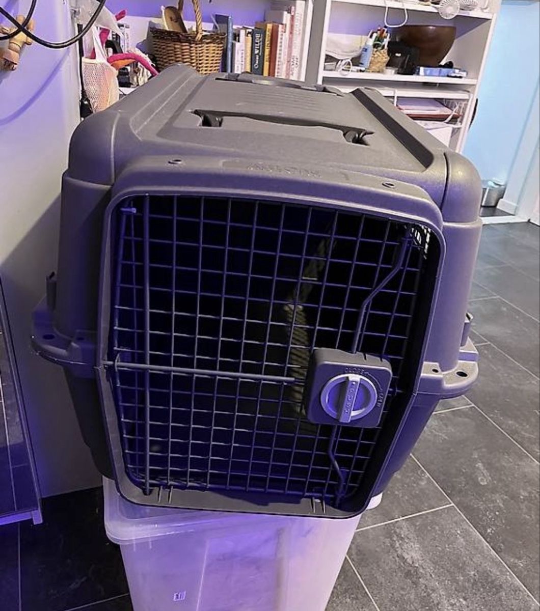 Gabbie, trasporto & Sicurezza: AniOne Transportbox – Usato da Niederlenz venduto da lux_5jl6 1