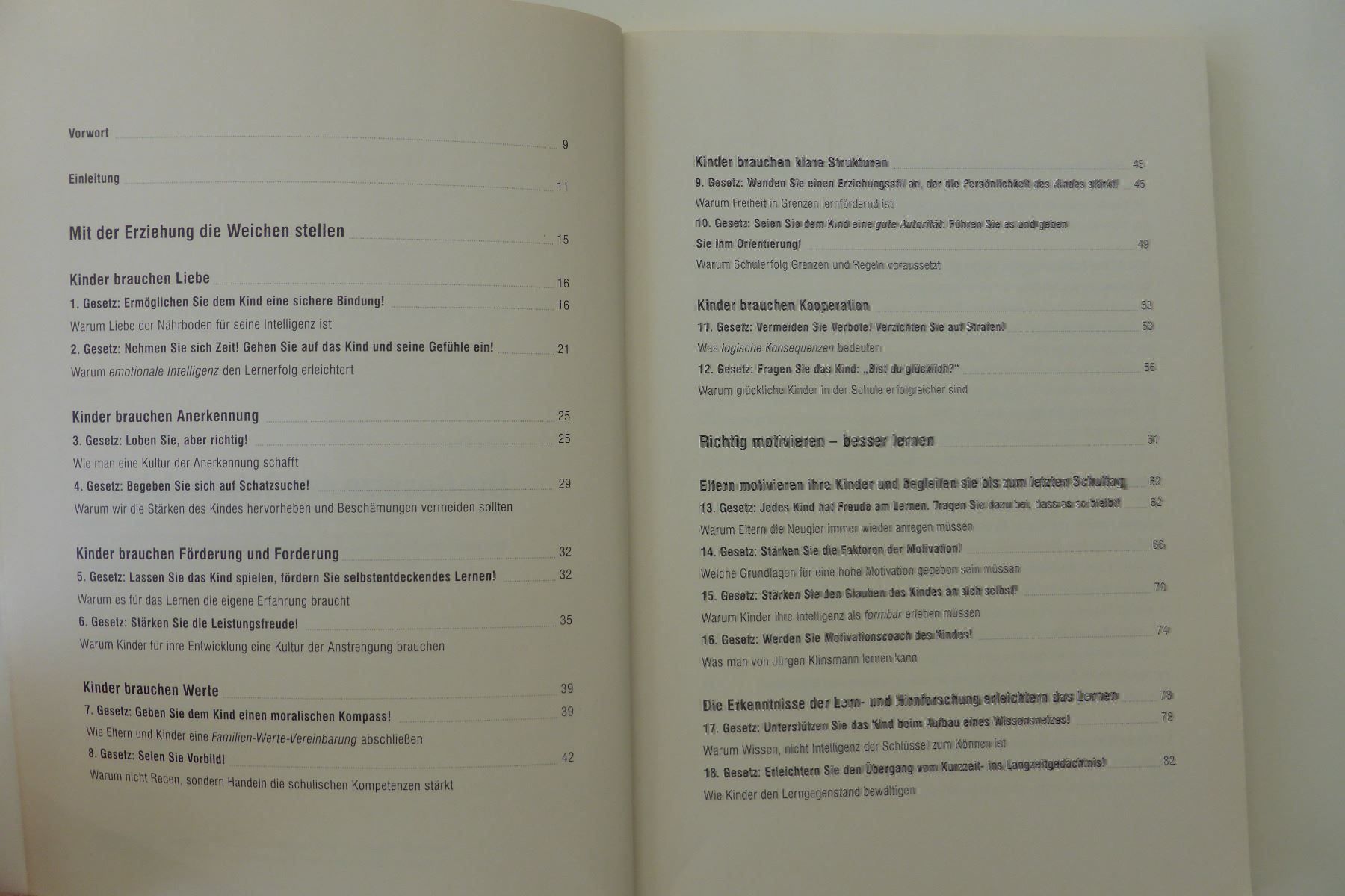 Libri: Die Gesetze des Schulerfolgs – Usato da Trimmis venduto da bergamo10 2