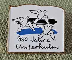 D557 - Pin 950 Jahre Unterkulm Tauben