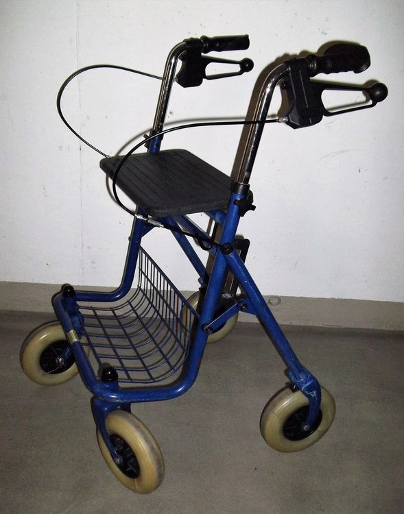 Rollator Kaufen auf Ricardo