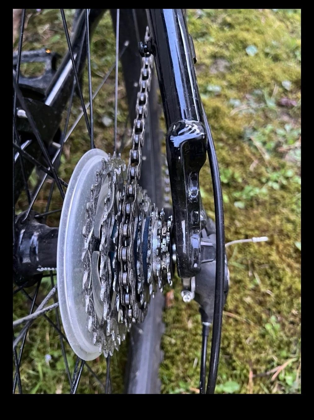 Wheeler Biciclette: Wheeler Jugend Mountain Bike – Usato da Thalwil venduto da mawueth 3