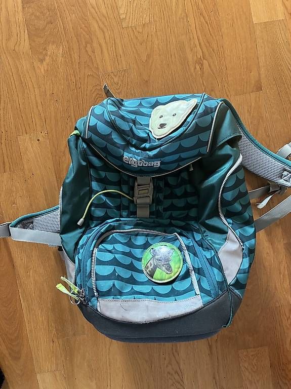 Ergobag Zaini: Ergobag Schulrucksack – Usato da Basel venduto da newbee1980