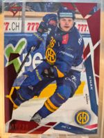 Sportzoo - Simon Knak - HC Davos - 12/20