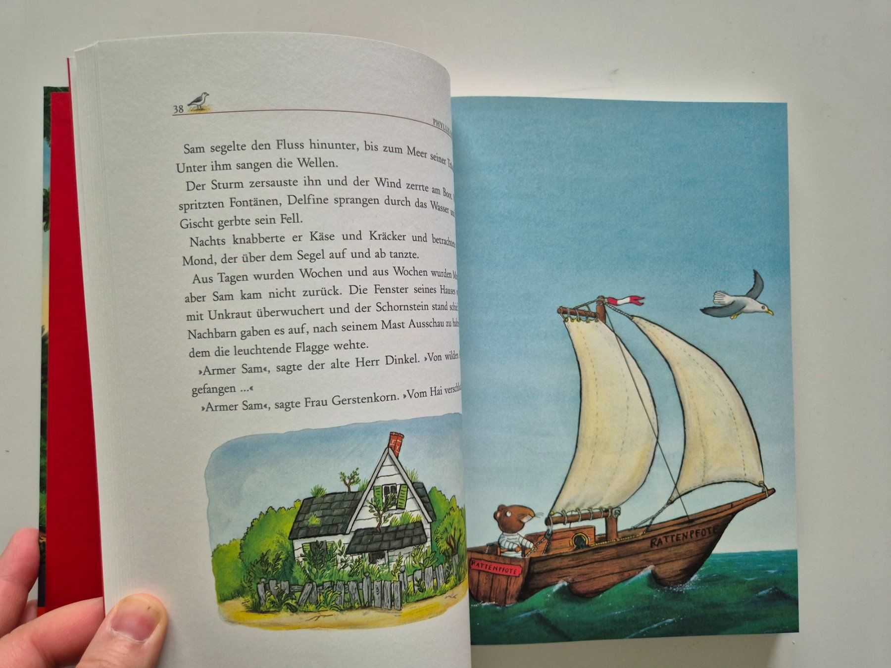 Libri: Buch von Drachen und Mäusen Axel Scheffler – Nuovo (secondo la descrizione) da Aarburg venduto da NDK 1