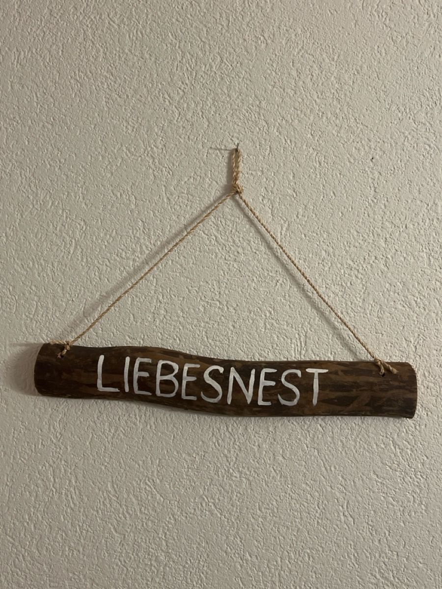 Insegne: Deko Holzschild LIEBESNEST – Usato da Altdorf UR venduto da JanAil