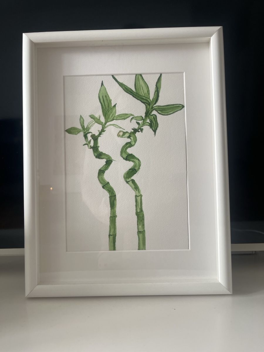 Dipinti: Bambuspflanze, Aquarell. – Usato da Kloten venduto da Mianan88