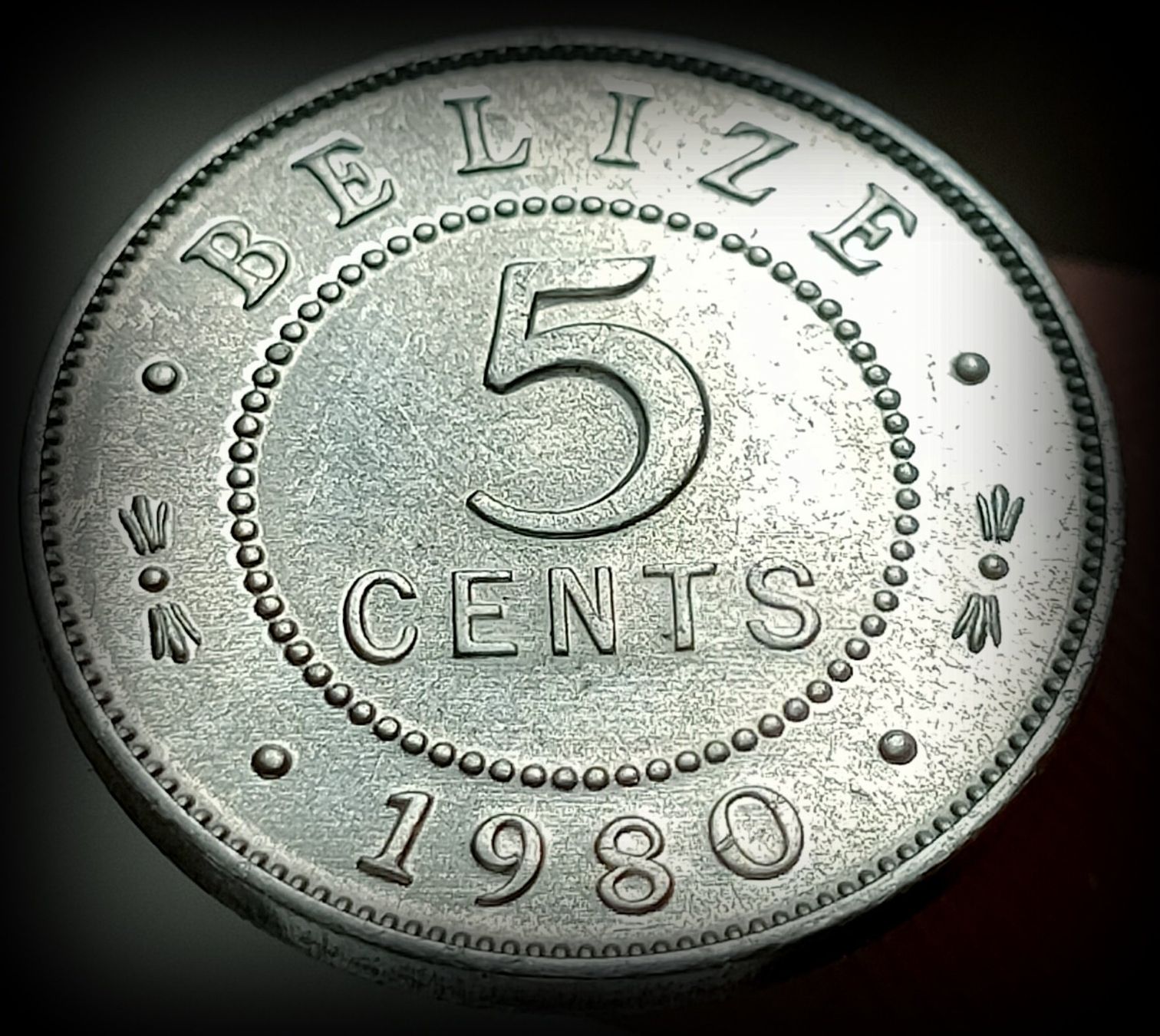 Tutti le monete: BELIZE 5 CENTS 1980 UNZ. – Nuovo (secondo la descrizione) da winterthur venduto da CoinPassion