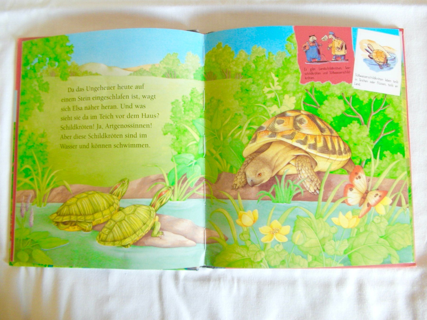 Libri: Kinderbuch: Die Schildkröte - 2002 – Usato da Schönenbuch venduto da Imagine6 4