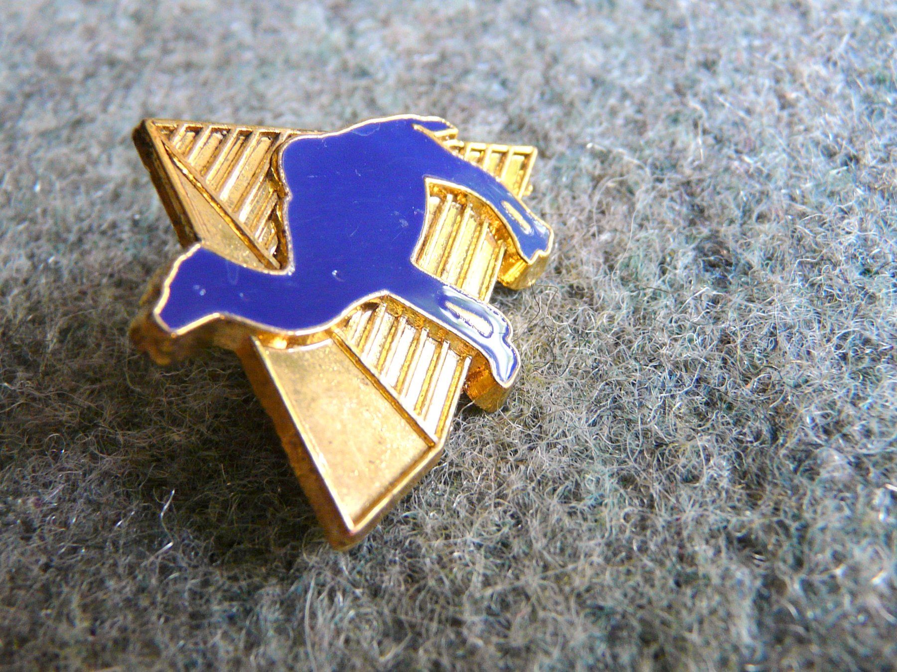 Camel Plaketten & Abzeichen: Camel Pyramide Ägypten blau Versand möglich  Pin M12.1 – Gebraucht aus Pully von websurfer1 1