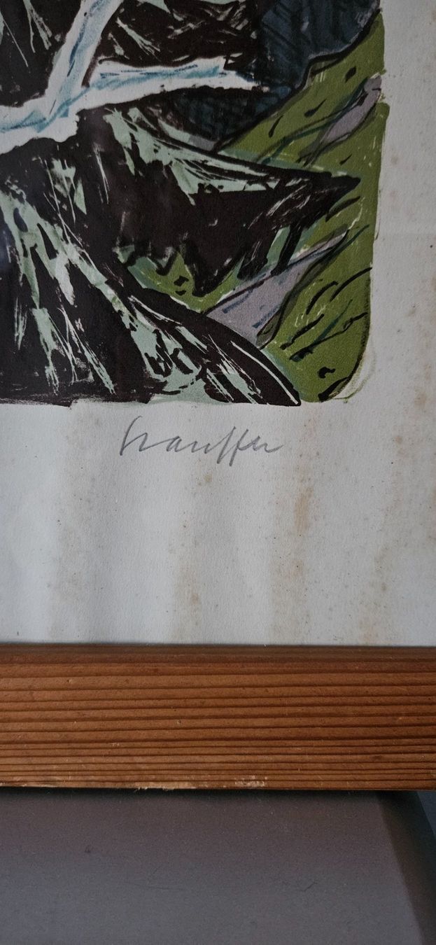 Grafica & Litografie: Stauffer Fred Farblithografie Handsigniert Geltenschuss – Usato da Uttwil venduto da TG-Lupa 1