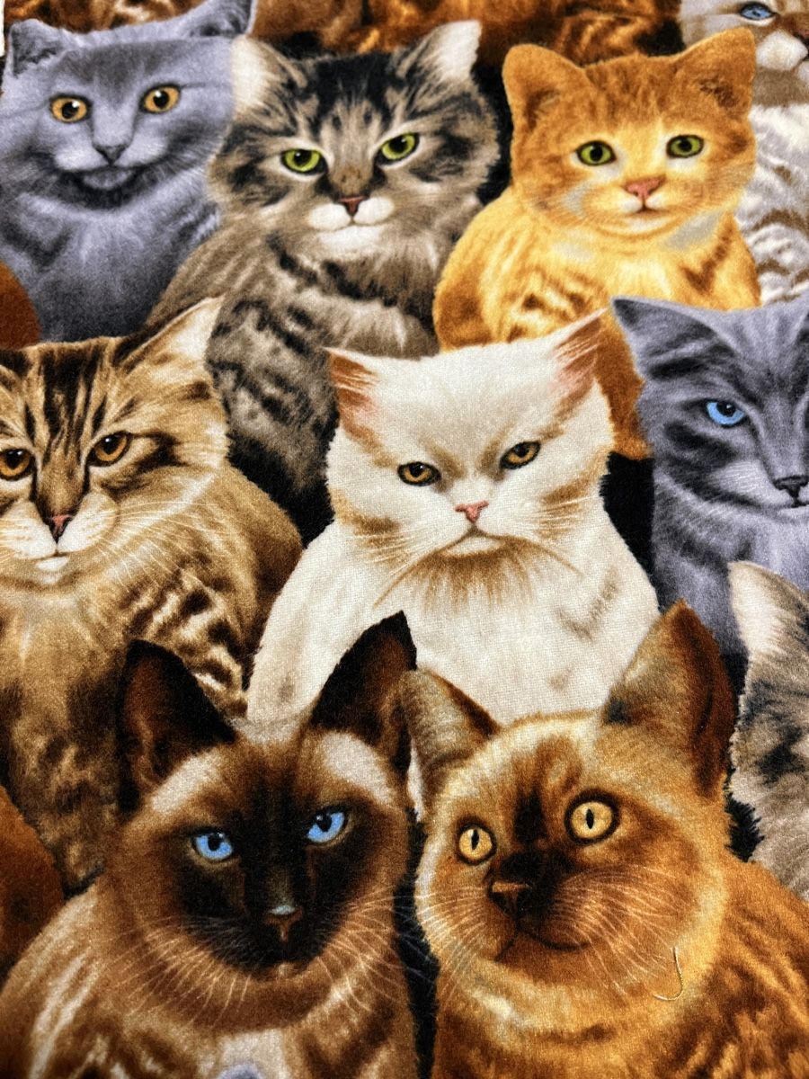 Stoffe: Patchworkstoff Flannel Katzen – Neu (gemäss Beschreibung) aus Seuzach von KreativmitStoff 3