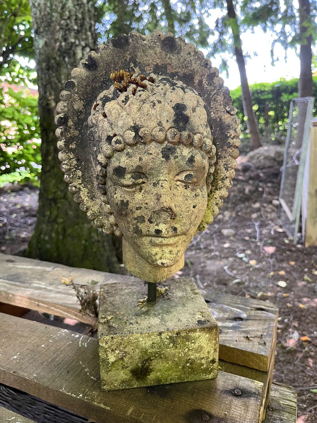 Statuette: Gartendekoration, Skulptur, Kopf, Figur – Usato da Oberentfelden venduto da Fabianbeboux