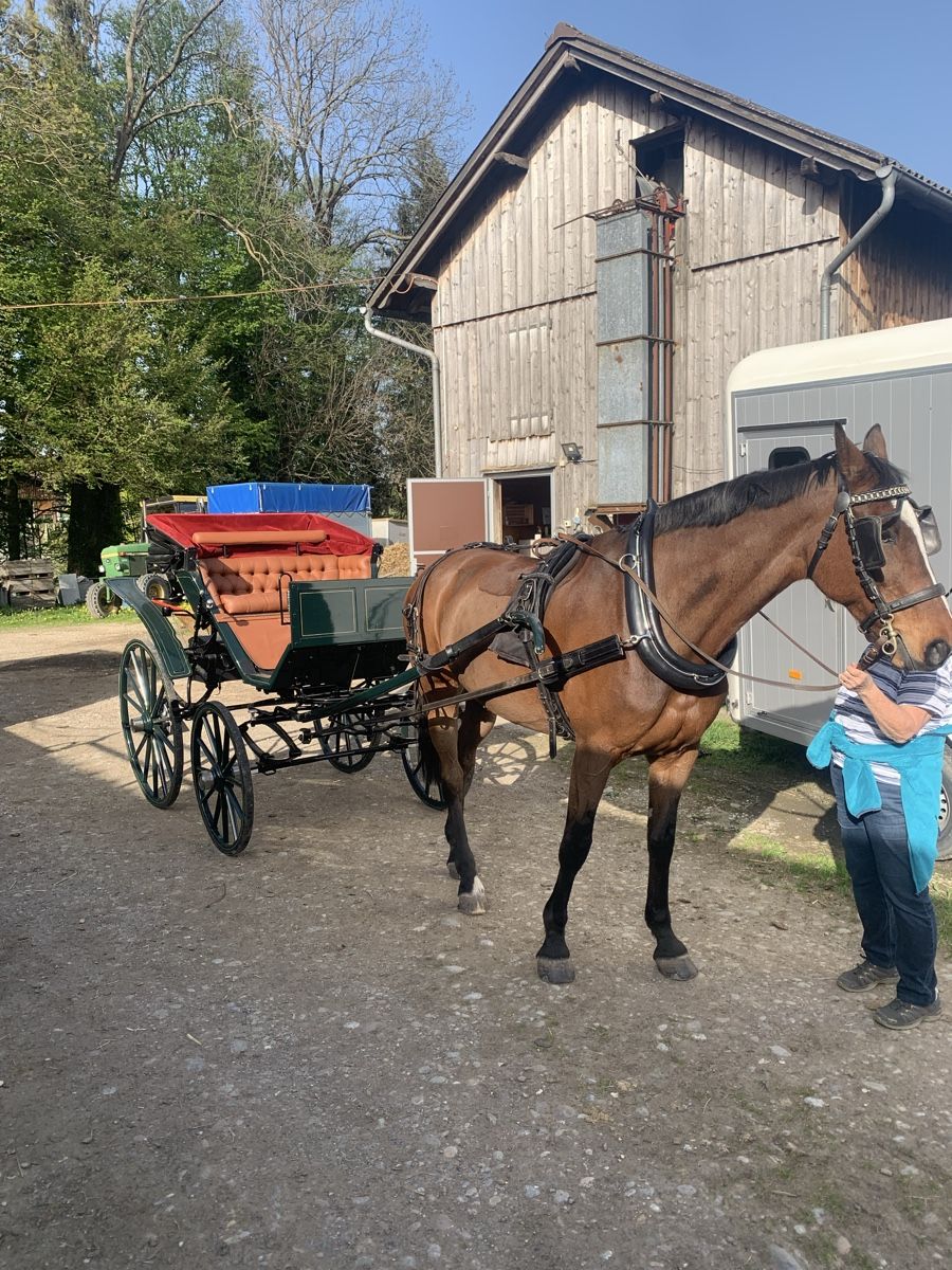 Carrozze: Doktorchaise – Usato da Romanshorn venduto da Soty 1