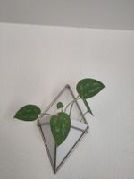 2er Set Wandvasen im Metalldraht-Design, Top Zustand