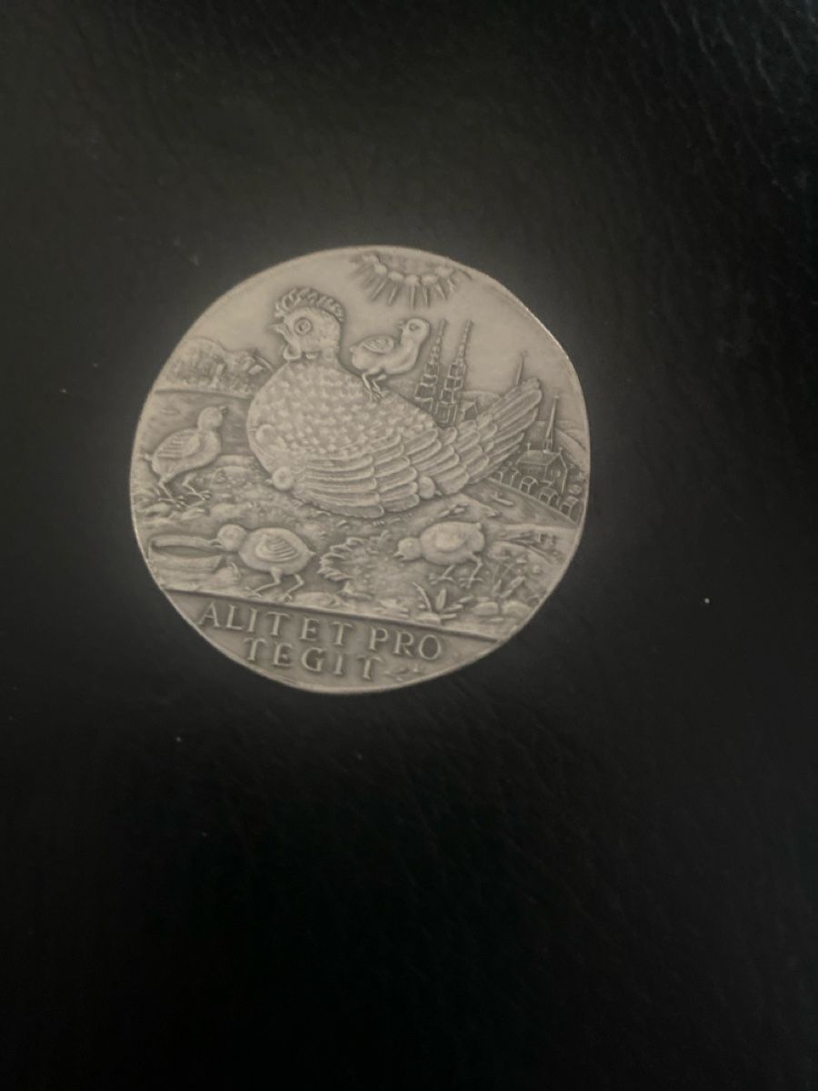 Medaglie: Silbermedaille "ALITET PRO TEGIT" mit Etui – Usato da Birsfelden venduto da Blaetzbums97 1