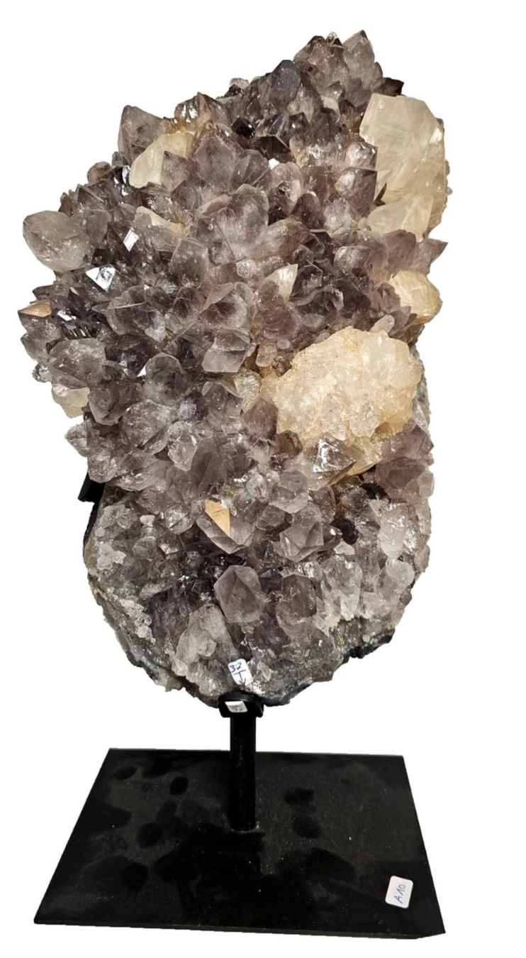 Minerali & Pietre curative: Grosse Amethystdruse auf Metallständer – Usato da Eschenz venduto da Bibas1 1