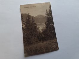 PAYSAGE de LEYSIN en ETE - 1918