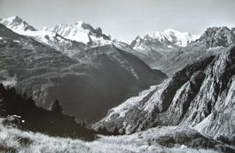 FINHAUT BARBERINE au Col de La Gueula