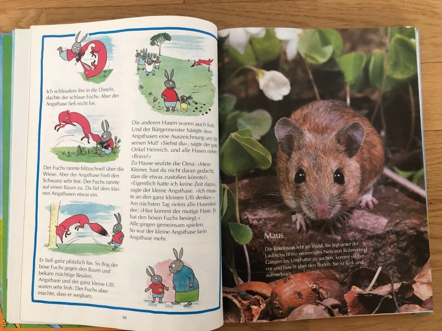 Libri: Kinderbuch – Usato da Buchs SG venduto da sunset55 1