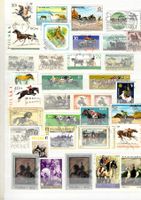 schöne Motiv Sammlung_Pferde_Tiere