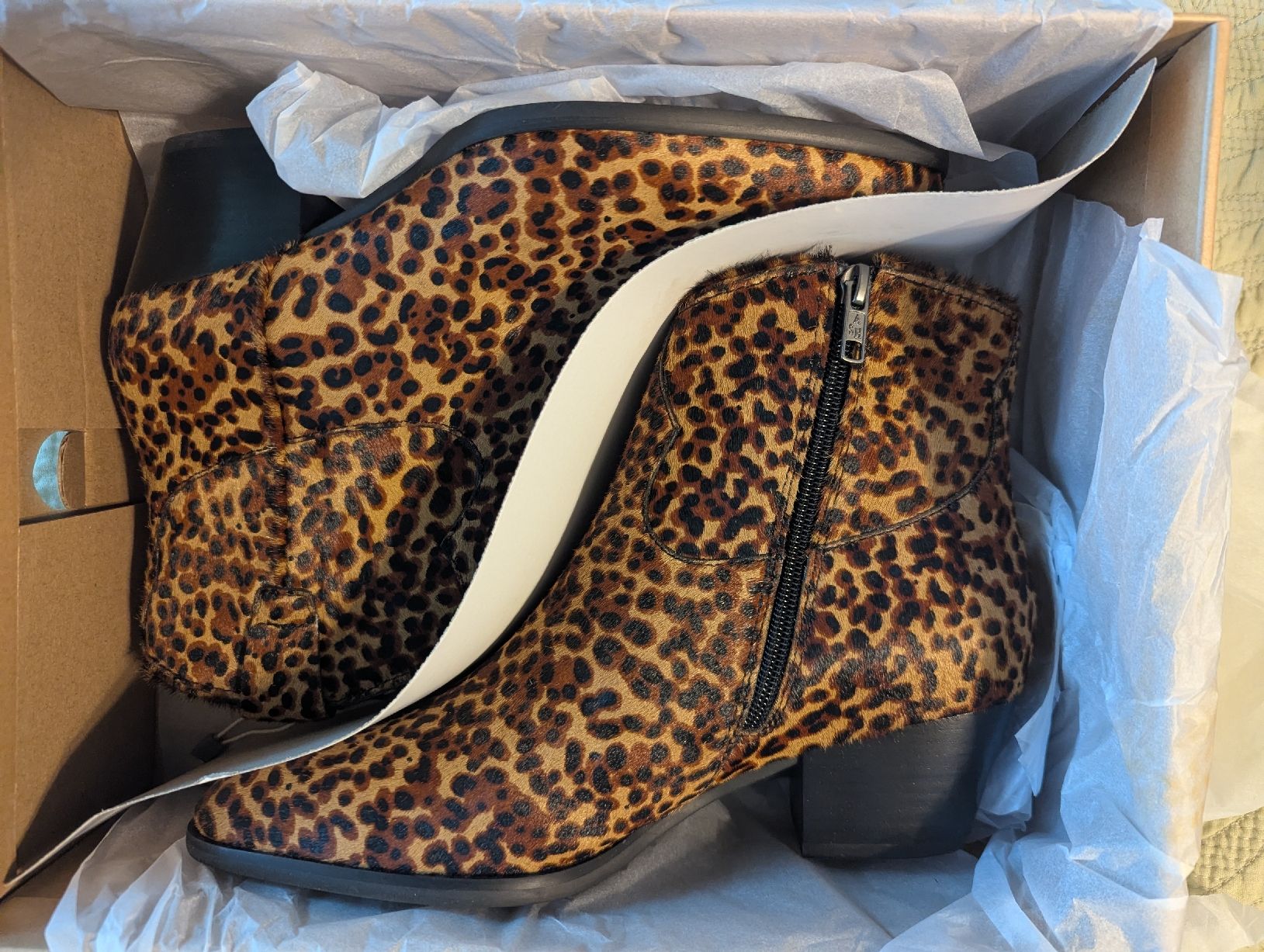 Ash Scarpe da donna: News Boots by Ash, 39 – Nuovo e nell'imballaggio originale da Bern venduto da tym_k7bc 3