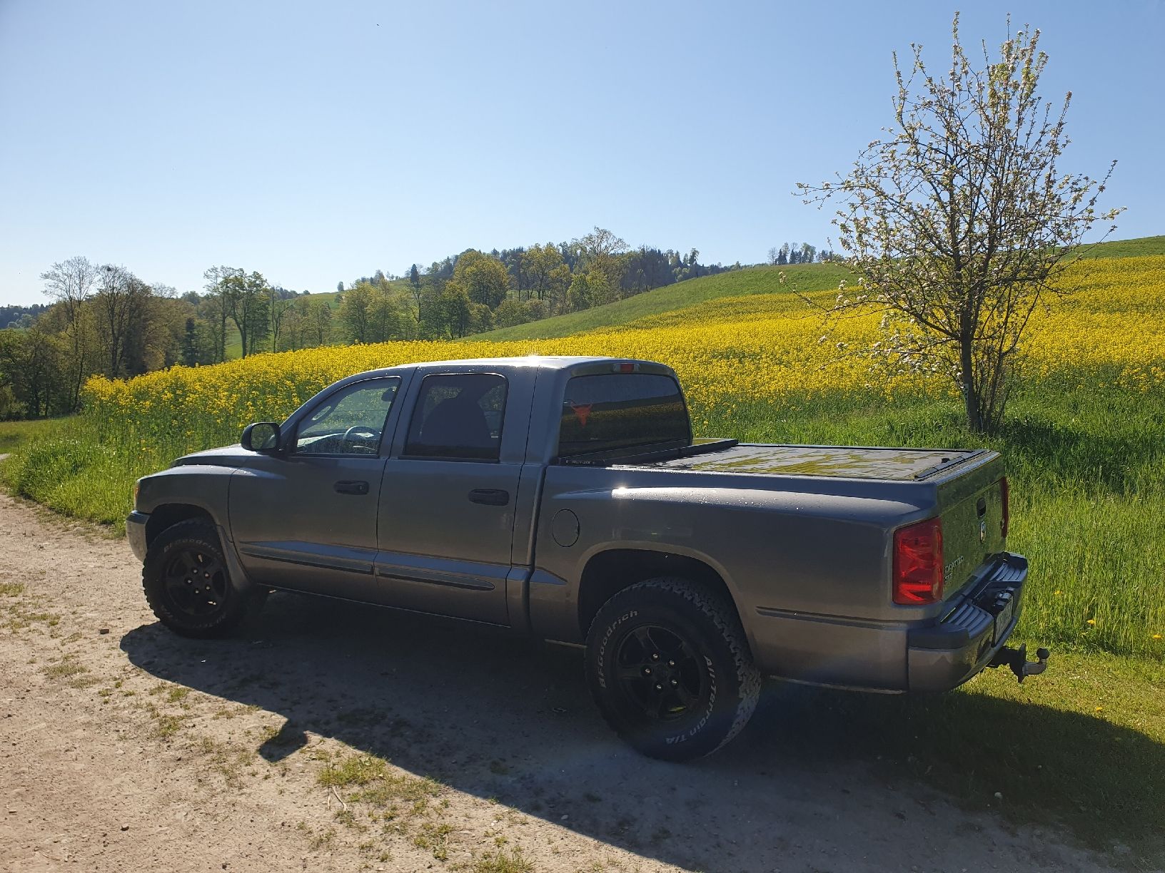 Dodge Automobili: Dodge Dakota SLT 4.7l 4x4 V8 ab MFK&Service – Usato da Ebersecken venduto da DAVE2005 1