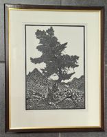 Häfeli Werner, Litho von Baumscherenschnitt, Arve o. Föhre