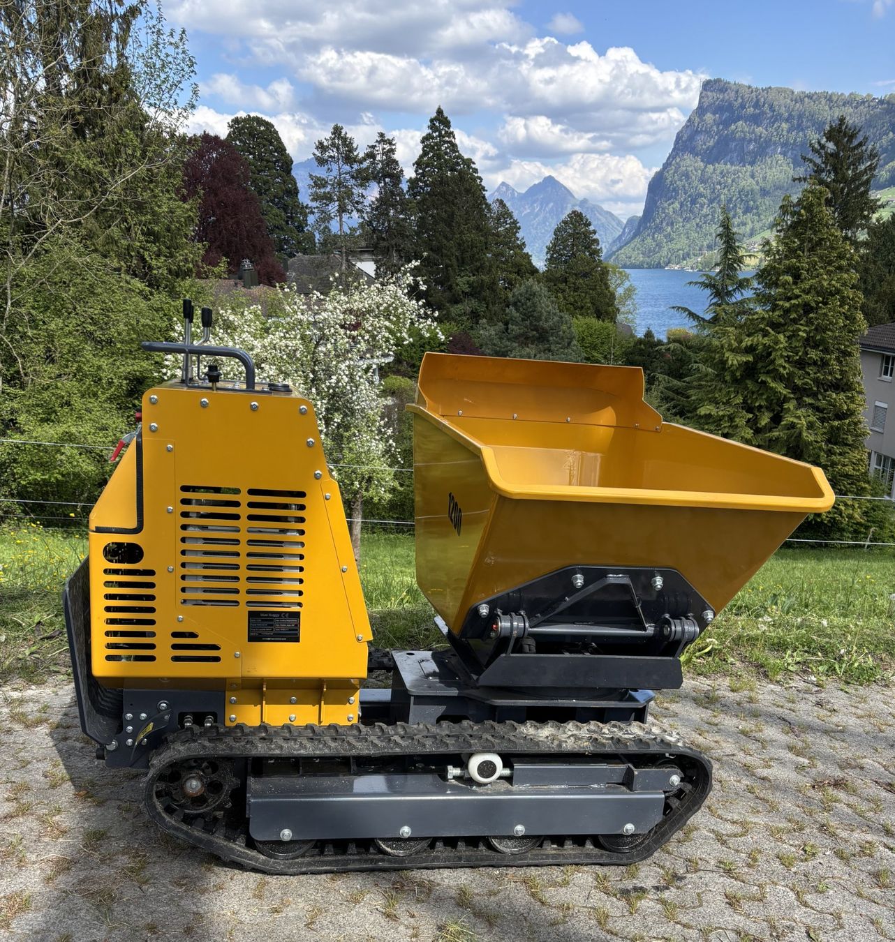 Alle Maschinen: Raupendumper hydrostatisch Nutzlast 1000 kg – Neu (gemäss Beschreibung) aus Kastanienbaum von acapulco 6