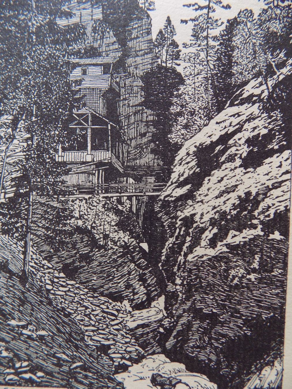 Incisioni: Rabiusaschlucht – Usato da Risch venduto da Rischli15 6