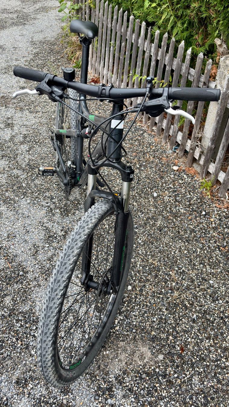 Leopard Biciclette: Leopard Flow Cat – Usato da Altnau venduto da ksi_n2g5 2